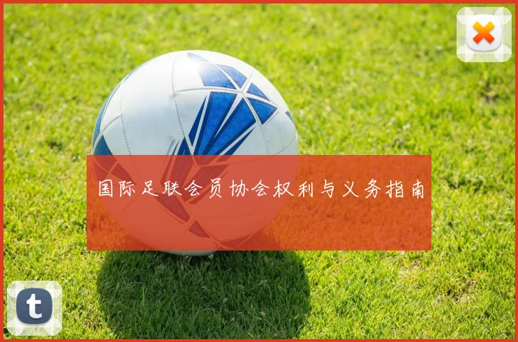 国际足联会员协会权利与义务指南